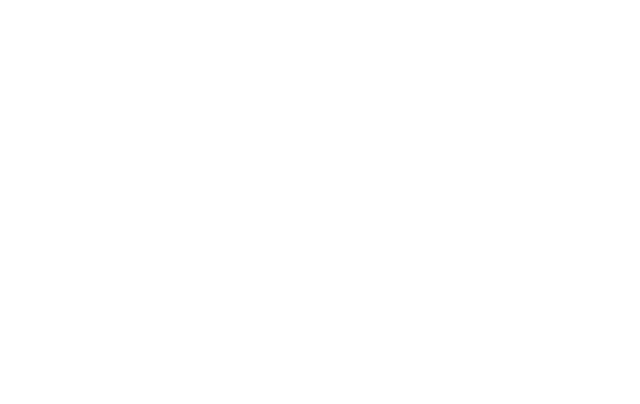 世界に広がる活躍フィールド